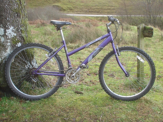 Raleigh vixen hot sale 18 speed